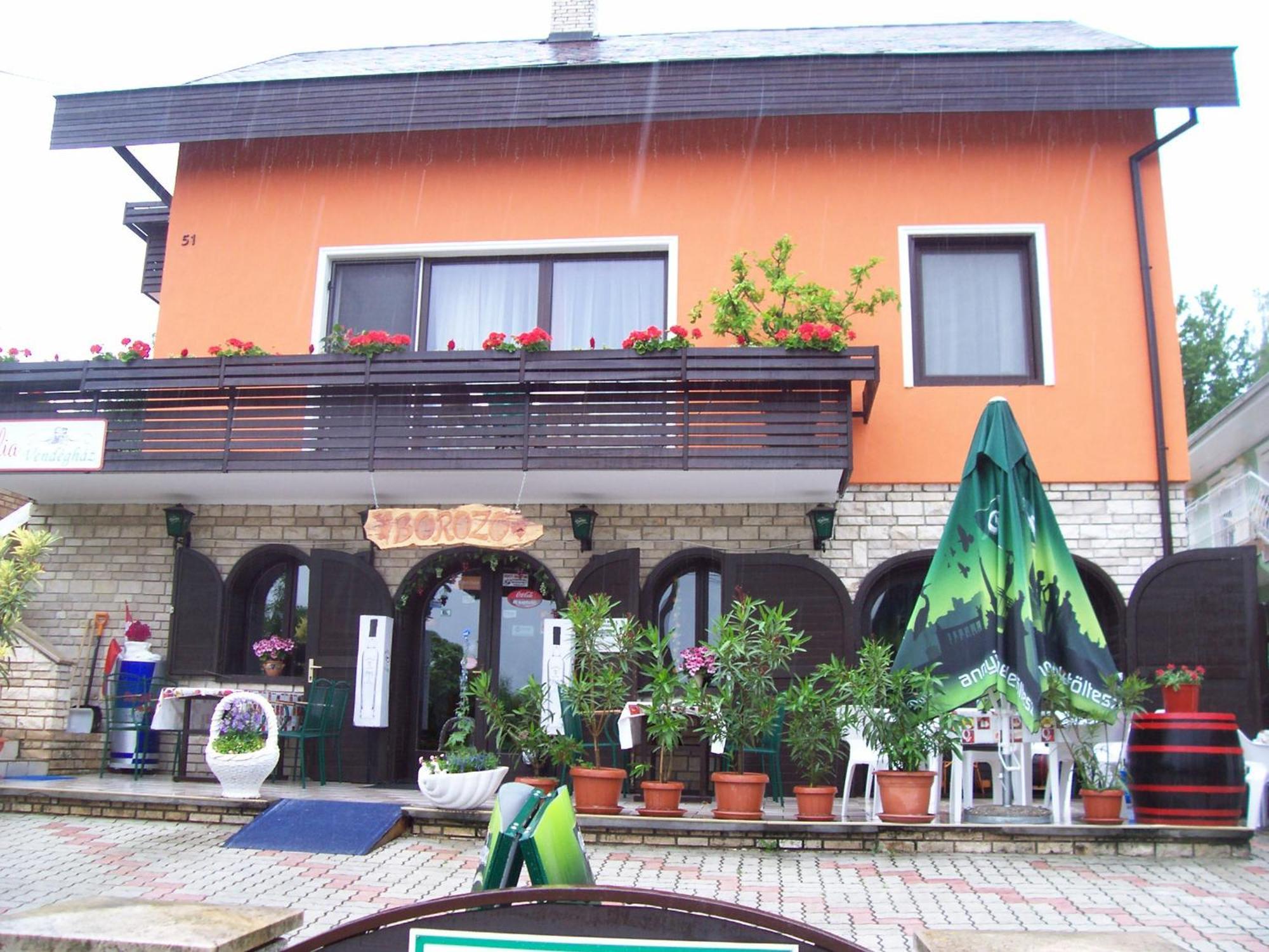 Julia Vendeghaz Hotel Zalakaros Exterior photo